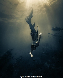A freediver using a latex tail explores the clear cool wa... by Lauren Mackenzie 
